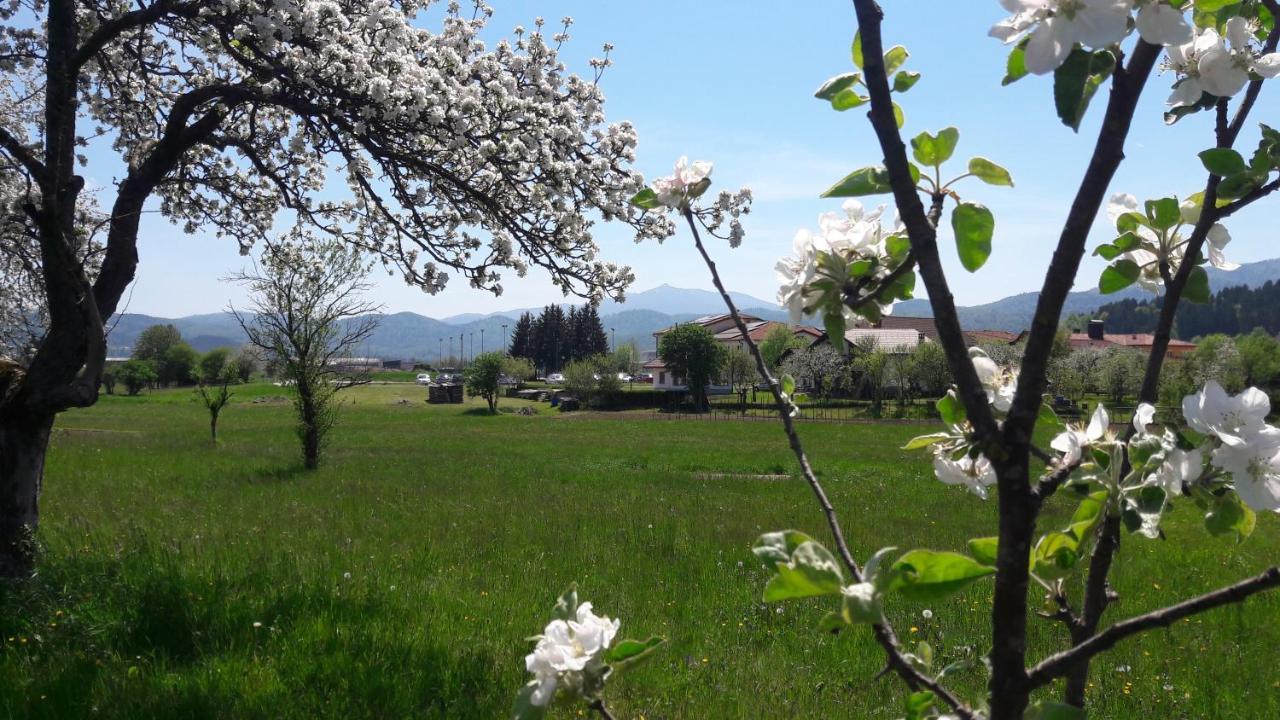 Apartma Sterle Stari Trg pri Lozu Esterno foto