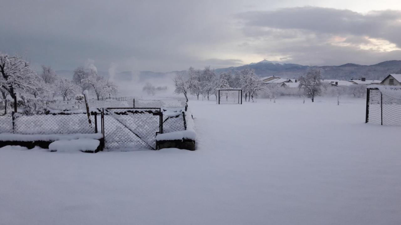 Apartma Sterle Stari Trg pri Lozu Esterno foto